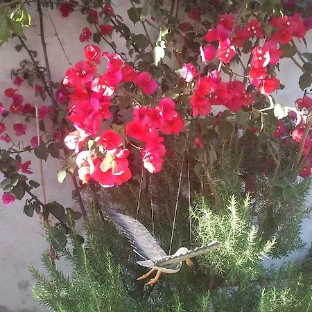 Christos Makrinos *